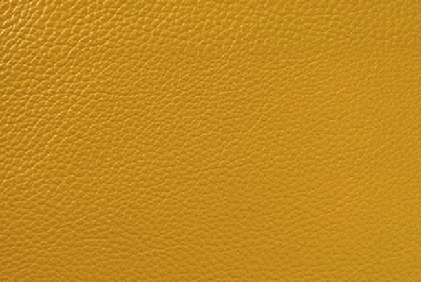 NS88-Sunshine Yellow